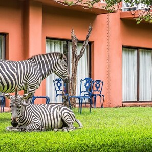 A zebra statue in a grassy area with a building in the background.