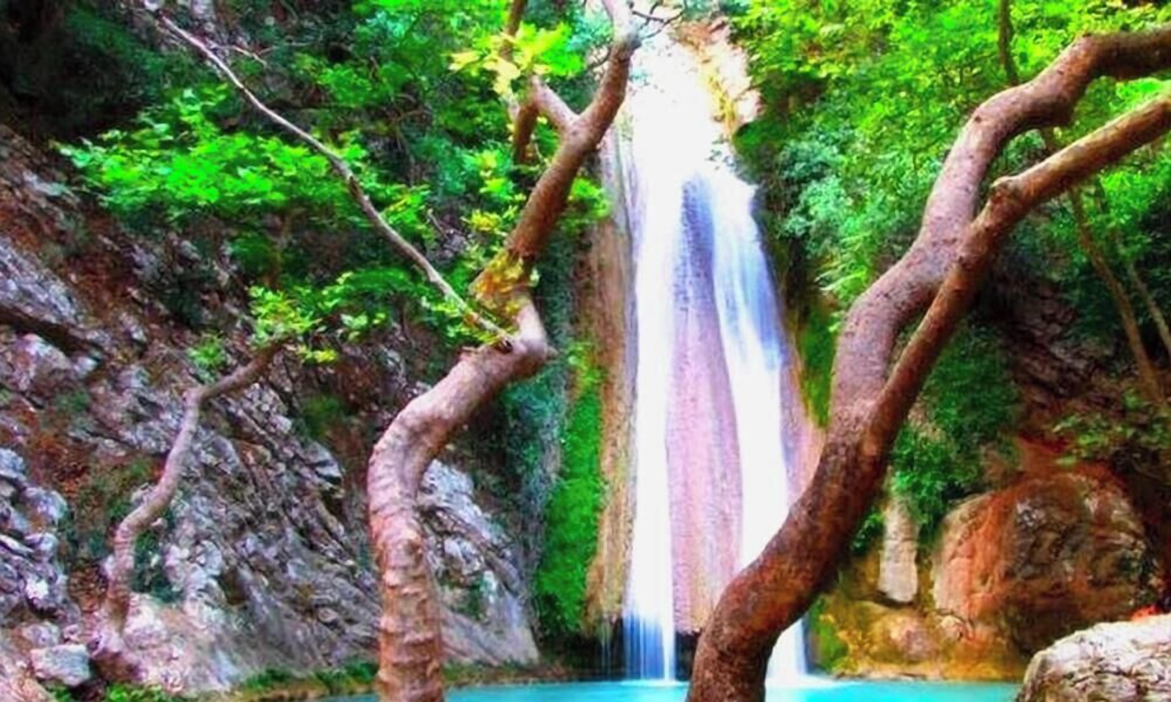 A waterfall surrounded by dense foliage and rocky terrain.