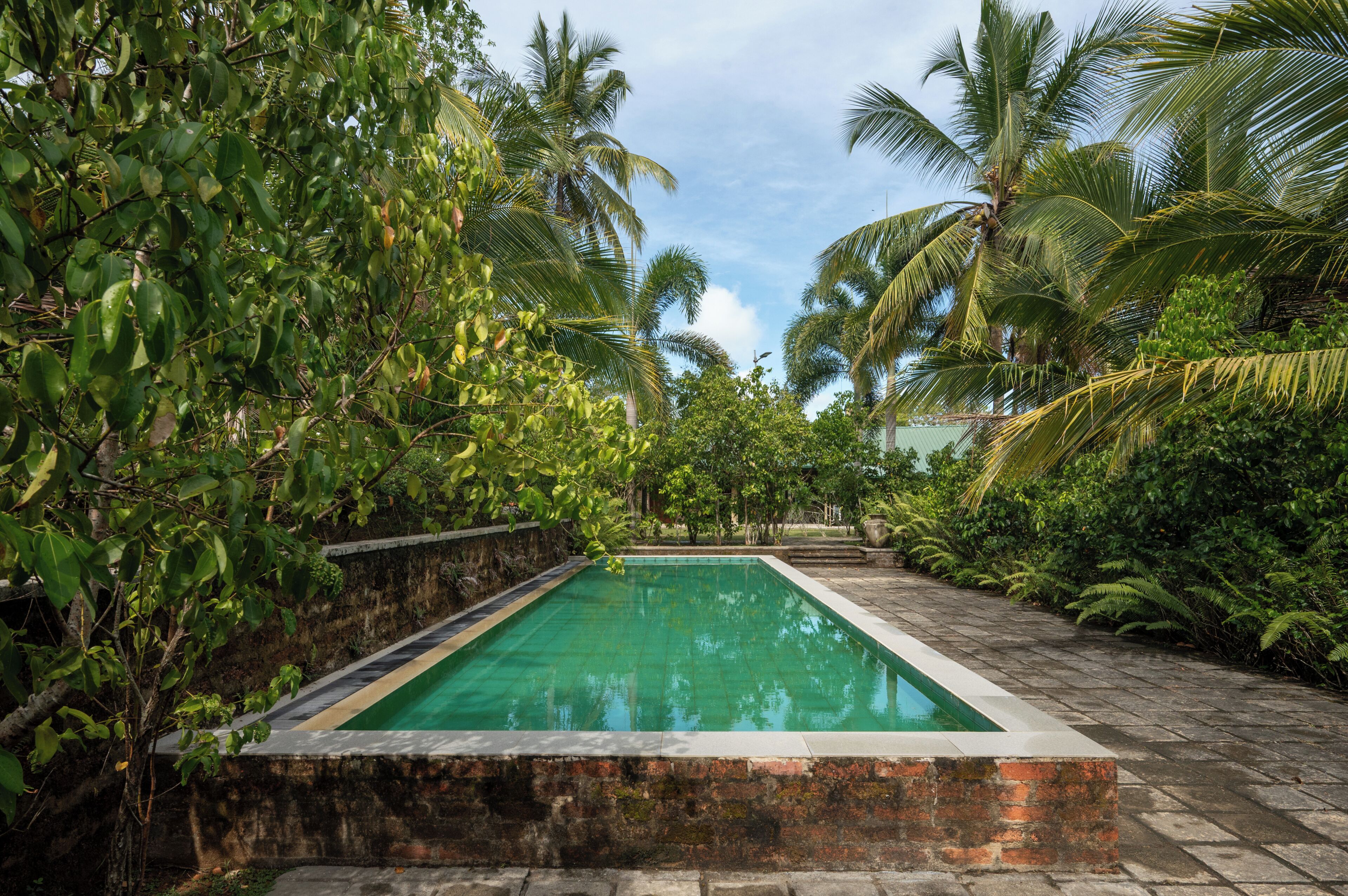 A rectangular pool with a stone border, surrounded by lush greenery and palm trees.