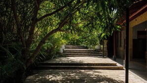 Un escalier en pierre menant à l’entrée d’un bâtiment, entouré d’un feuillage dense.
