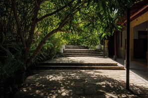 A stone staircase leading up to a building entrance, surrounded by dense foliage.