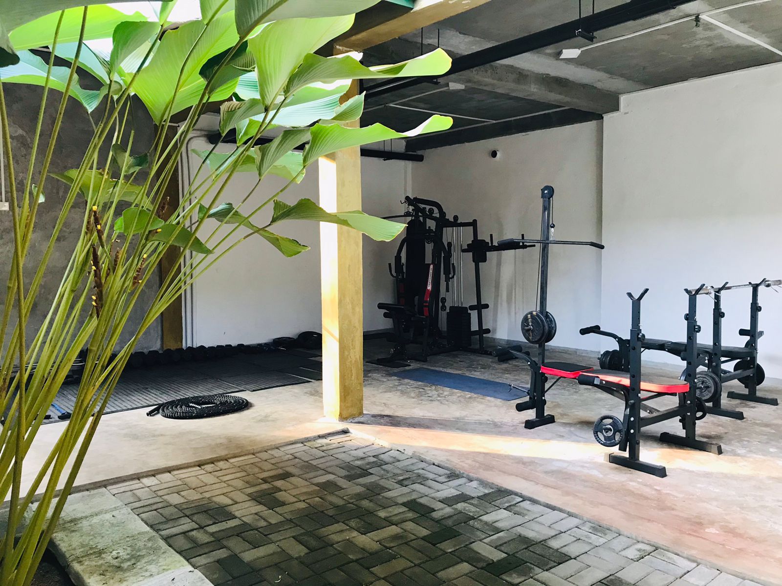 Academia com equipamentos de exercícios, piso de concreto e um vaso de planta.