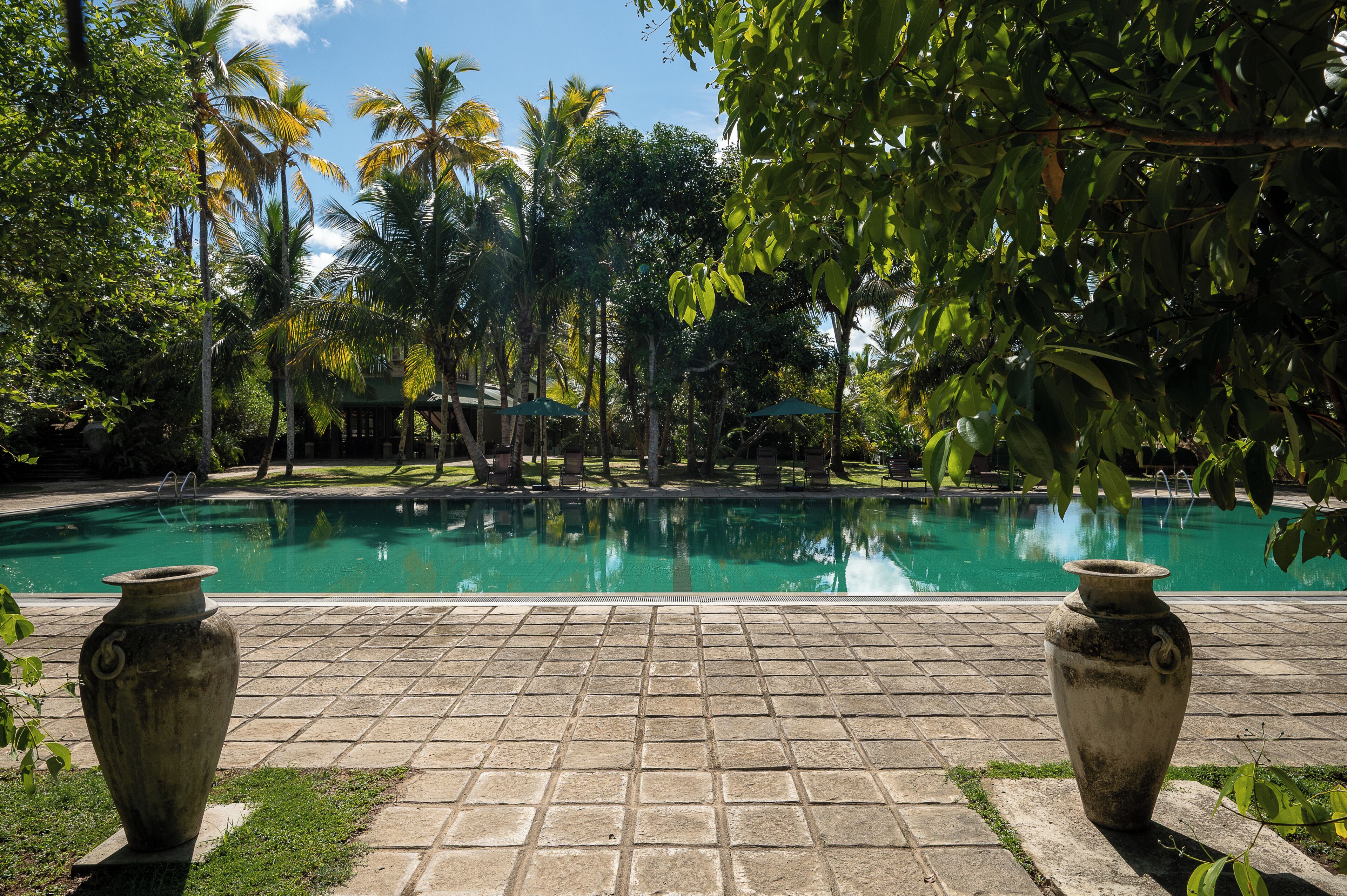 A pool area with a clear blue pool, surrounded by palm trees and a tiled walkway.