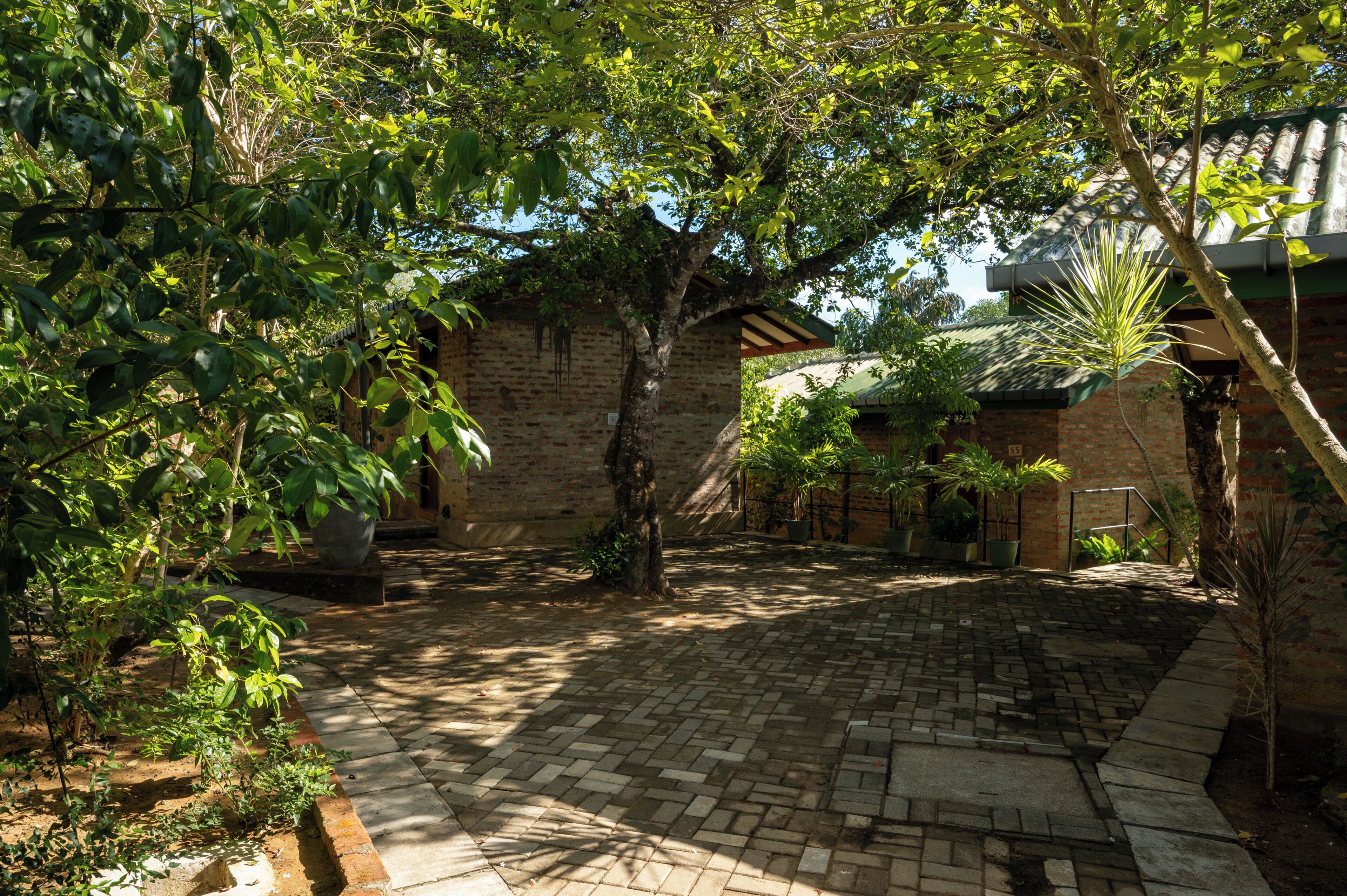 A courtyard with a brick pathway, surrounded by trees and potted plants.
