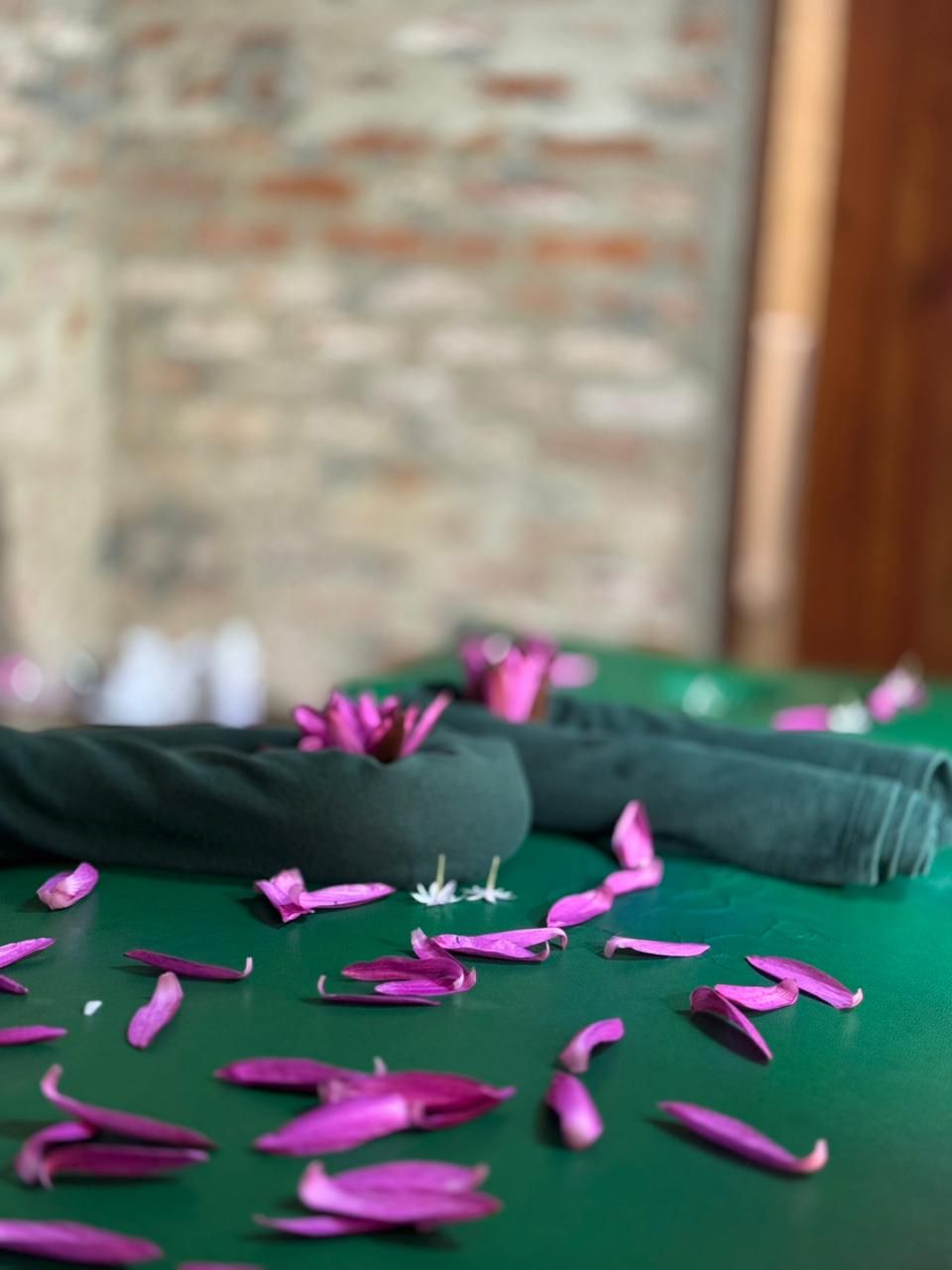 Superficie verde con pétalos rosados dispersos y un muro de ladrillo al fondo.