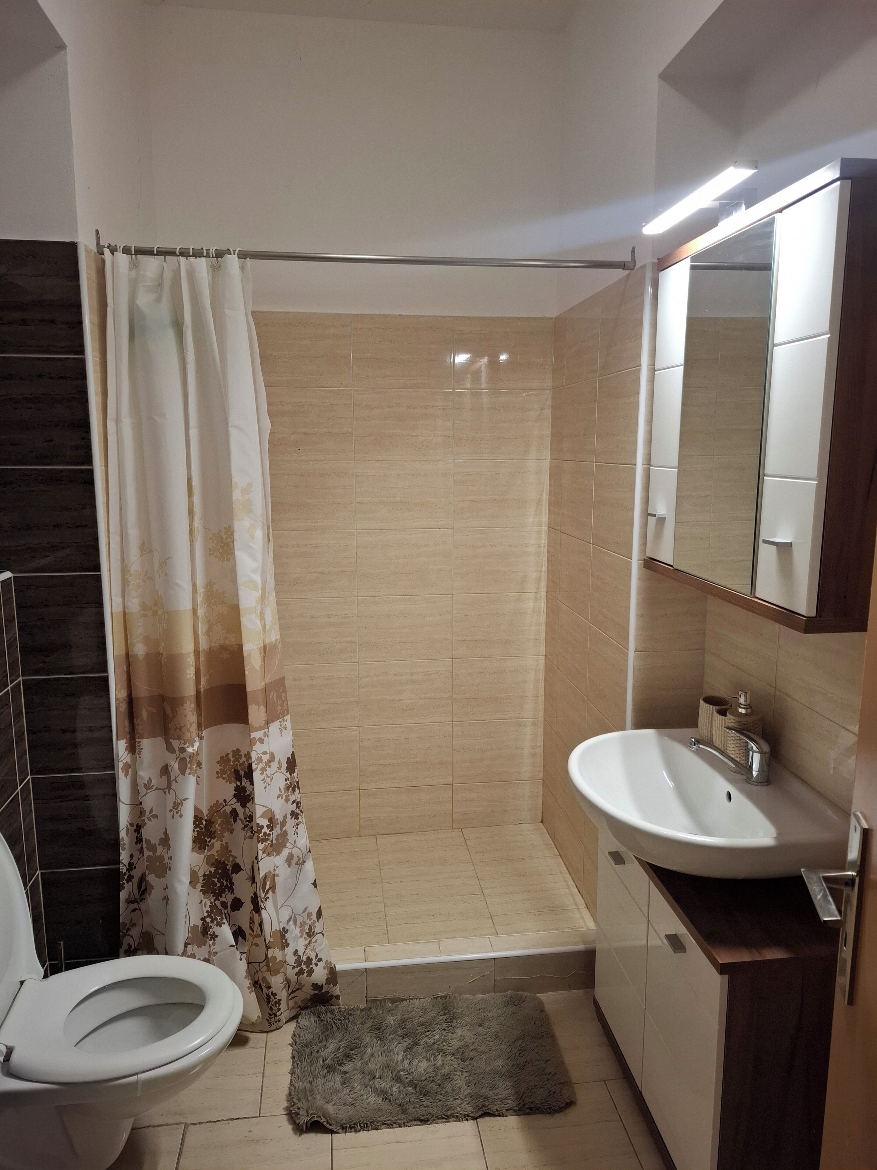 Hair dryer, towels, soap, toilet paper