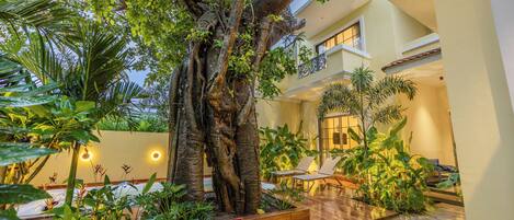 A courtyard with a large tree, wooden benches, and a variety of plants.