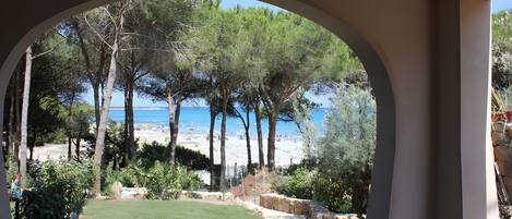 Un espacio al aire libre cubierto con vista a una playa y árboles.