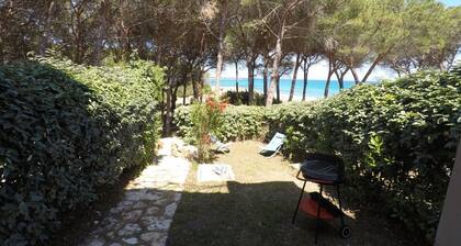 Apartment 'La Corte Degli Ulivi B' with Sea View, Wi-Fi and Air Conditioning