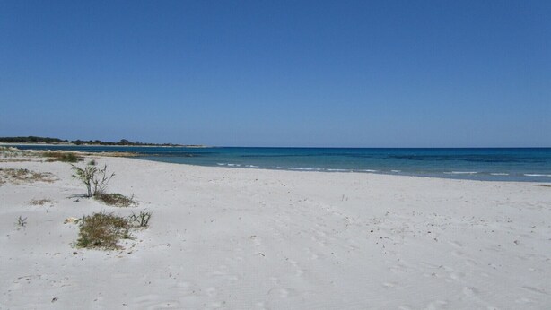 Una playa de arena blanca y aguas azul cristalino.