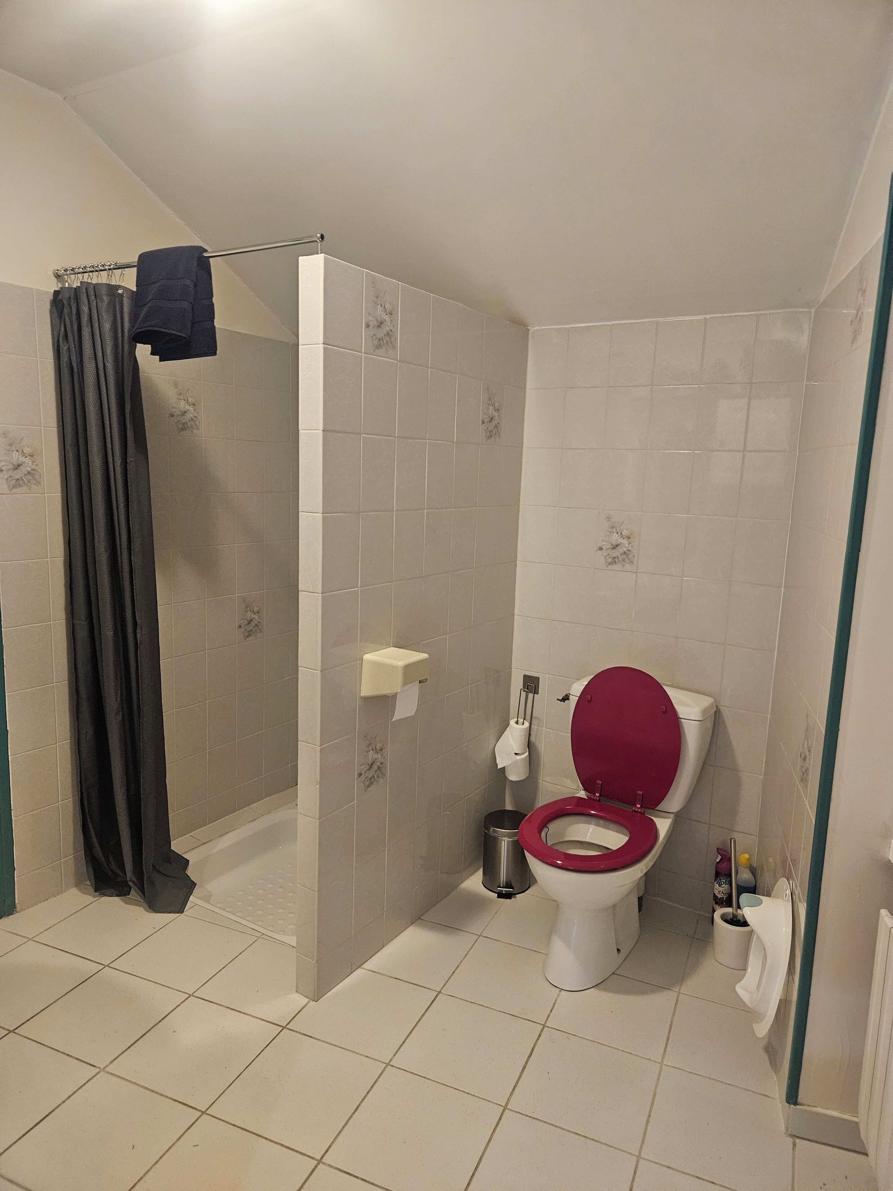 Shower, hair dryer