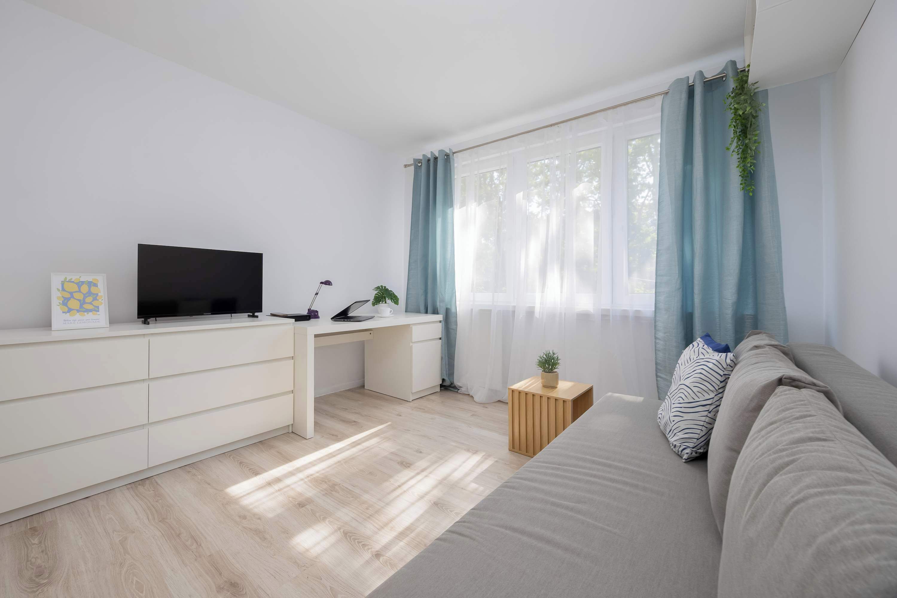 Fernseher, Arbeitsbereiche