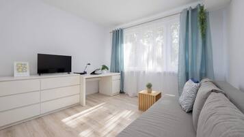 Fernseher, Arbeitsbereiche