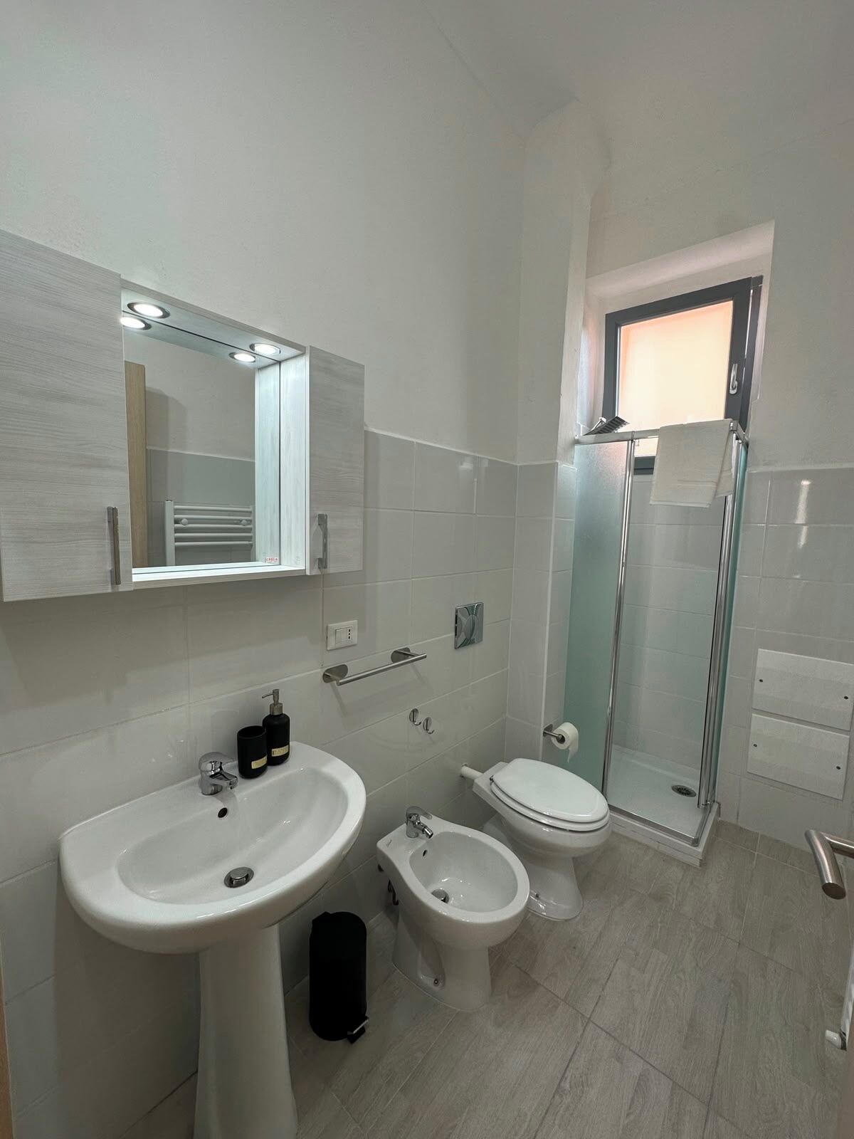 Shower, hair dryer, bidet, towels