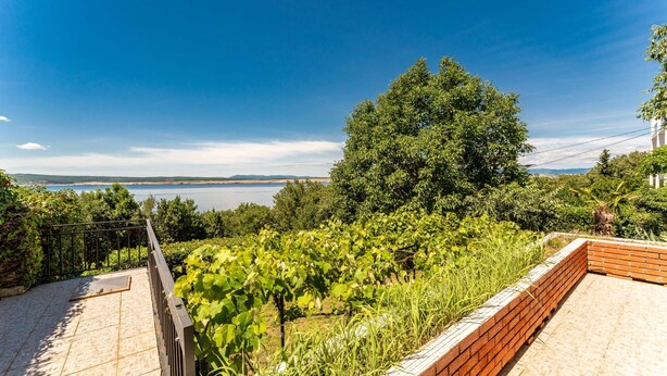 Viñedo con vistas a un lago y colinas distantes.
