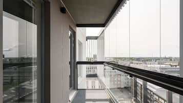 Comfort Apartment, 2 Bedrooms, City View | View from room