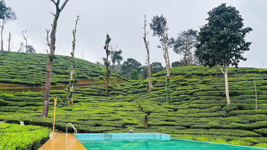 Hotel Wayanad gate
