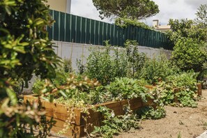 A garden with raised beds and a variety of plants. - Cascais Boutique Retreat by Clama Retreats (Cascais)