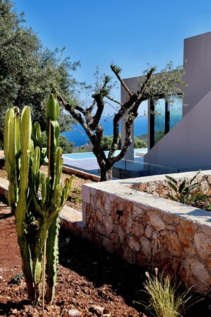 A cactus in a landscaped area with a stone wall and a modern building in the background. - Luxury 6-bedroom villa in north Zakynthos | Private pool & sea views (Korithi)
