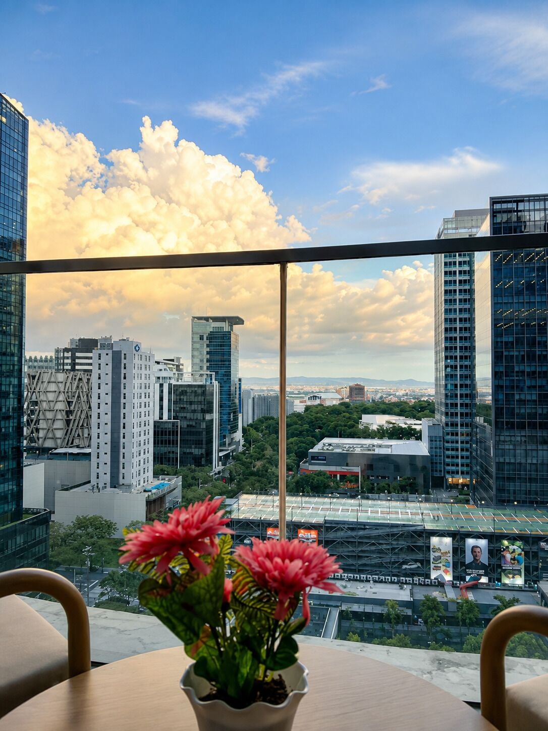 A cityscape view from a high-rise building with a potted plant on a table.