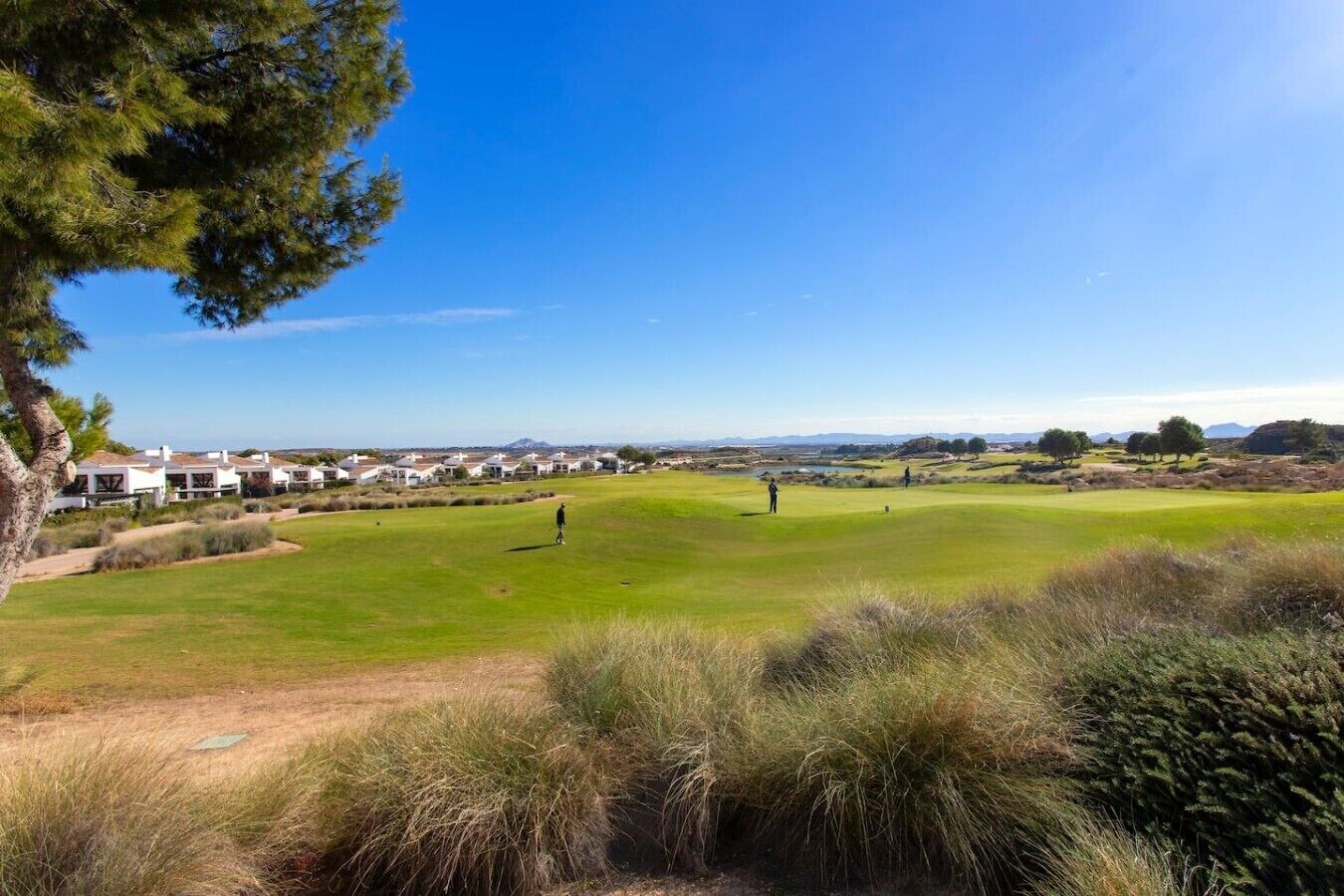 A golf course with a clear sky, a few people playing, and a row of houses in the background.