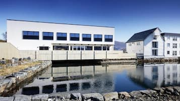 Eksteriør