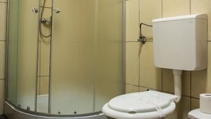 A bathroom with a glass-enclosed shower, a toilet, and a small rug. - Vila Alex (Tășnad)