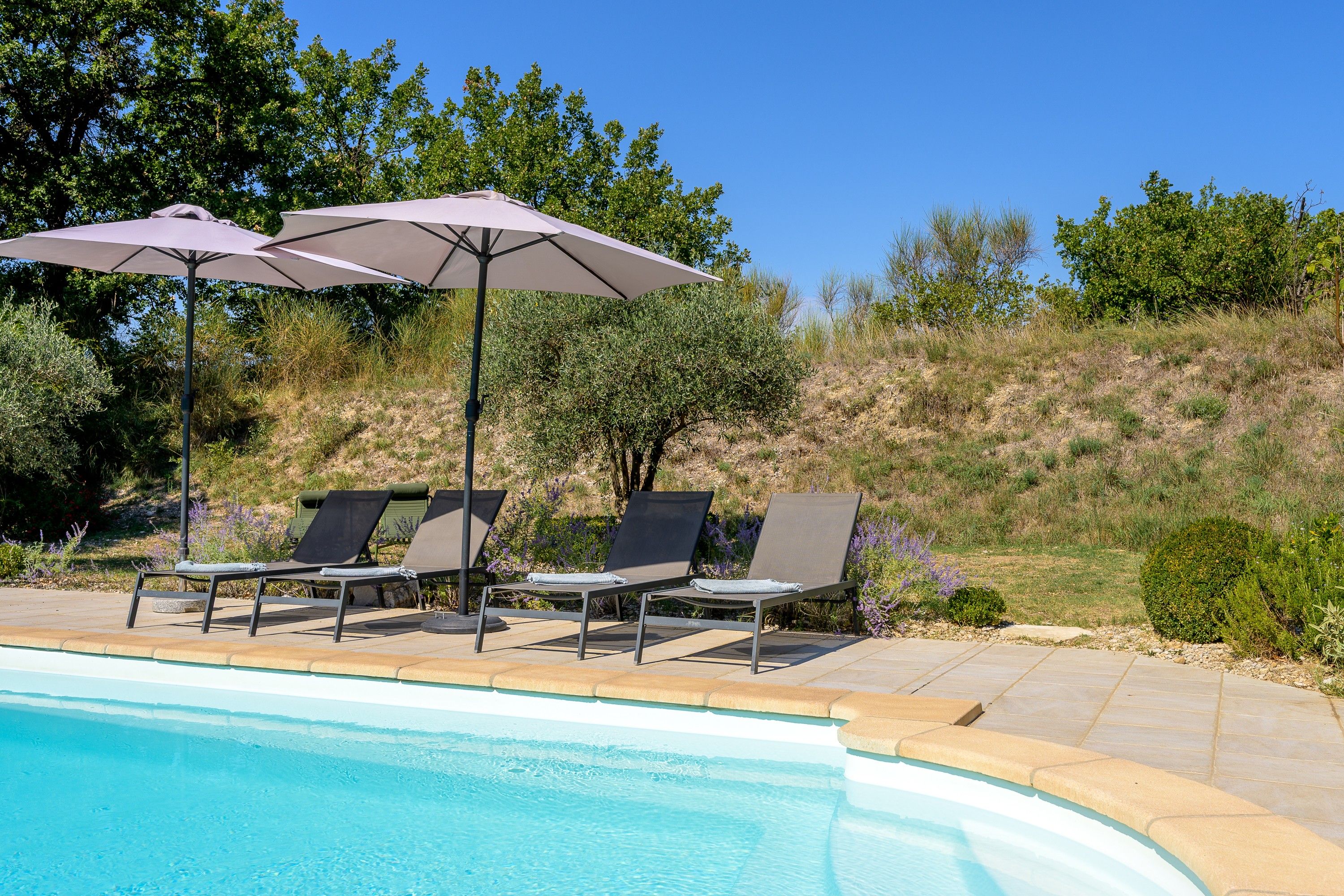 A poolside area with lounge chairs and umbrellas, surrounded by greenery and a clear sky.