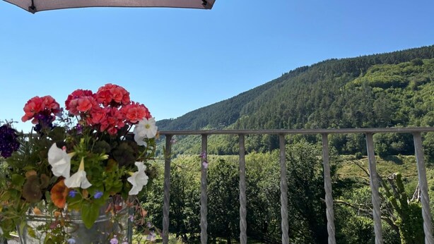 A balcony with a metal railing overlooking a forested hillside. - Afan Mountain Lodge (Port Talbot)