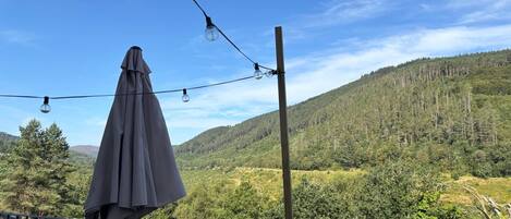 Un balcón con vista a un paisaje montañoso cubierto de bosque, una lámpara colgante y una planta en maceta con flores.