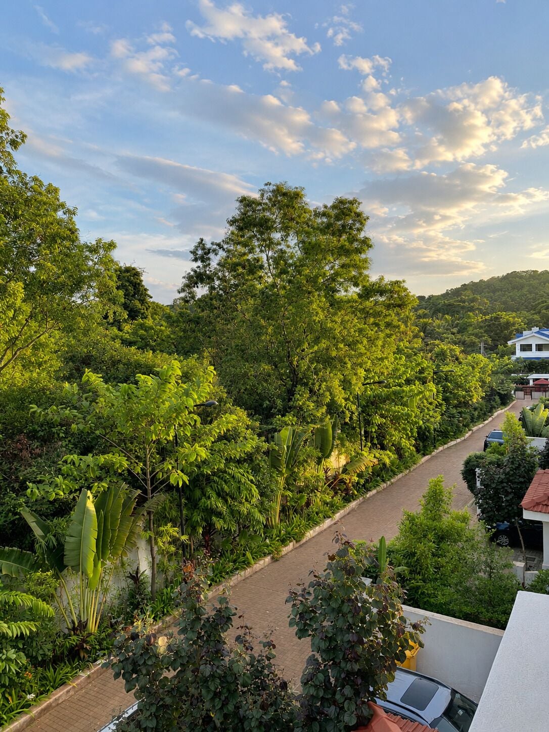 Área da propriedade