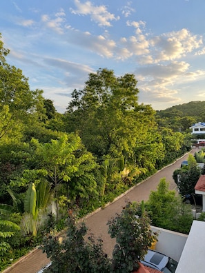 Property grounds - Nistula Avayaja - 4BHK Luxury Private Pool Retreat in Siolim (Siolim)