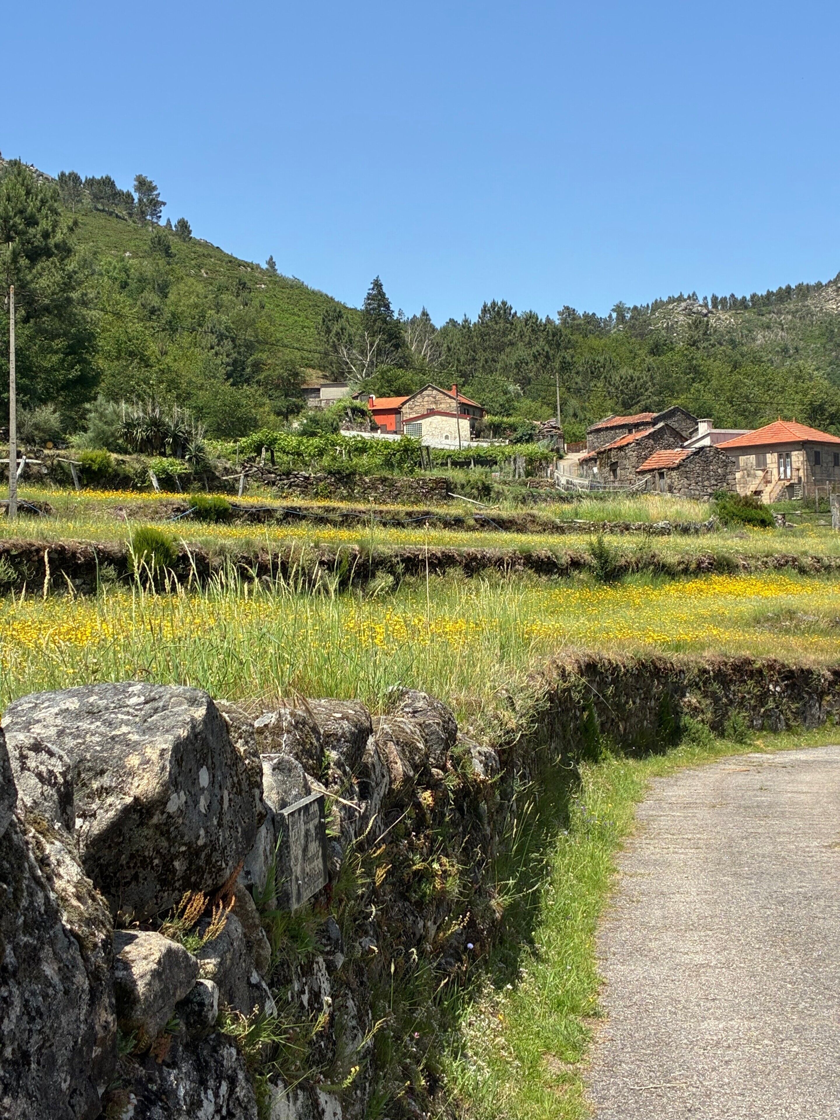 A rural landscape with stone houses, a dirt path, and a hillside.