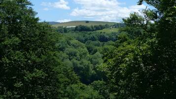 A lush green valley with dense foliage and rolling hills in the background.