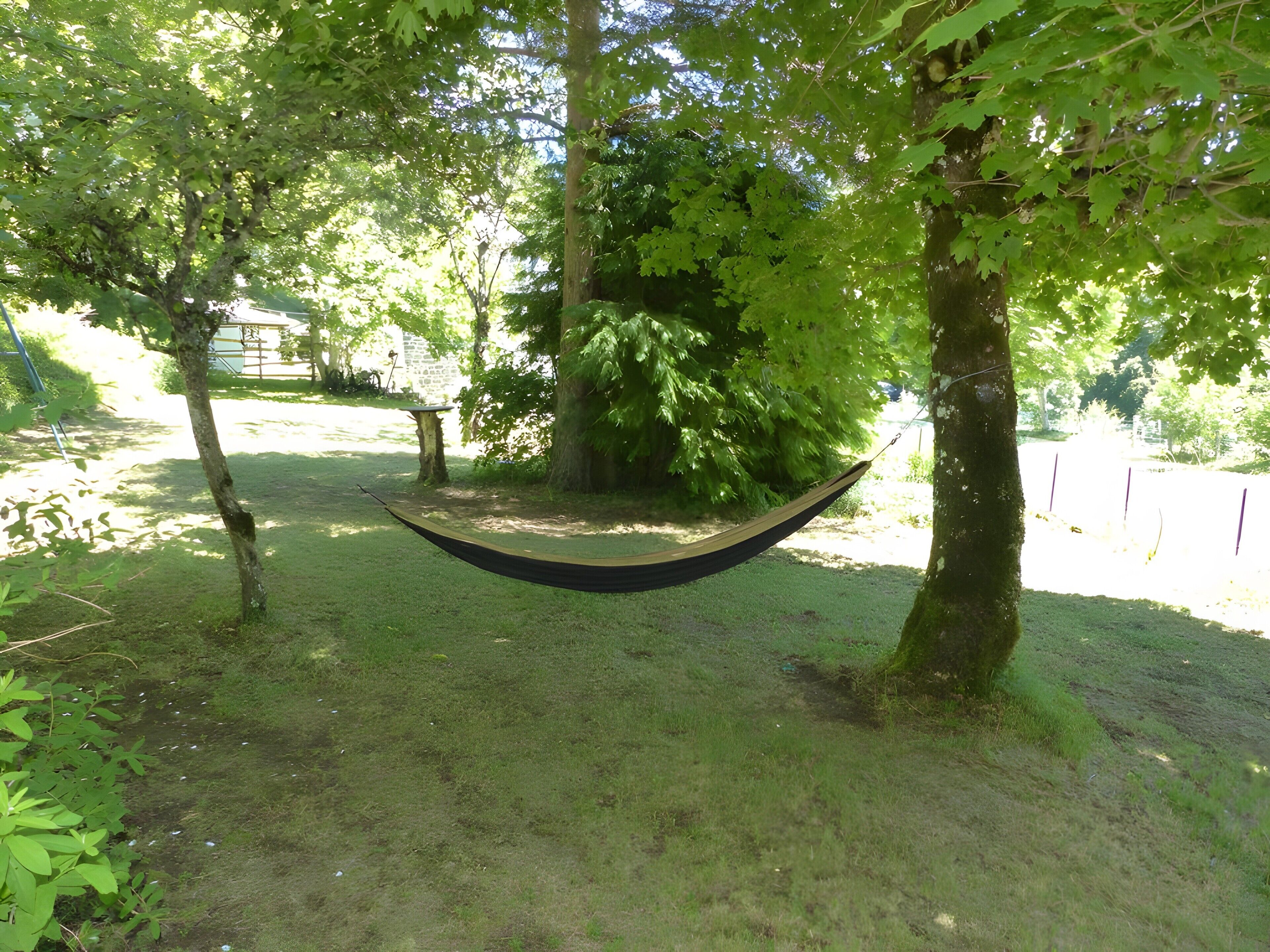 Un hamac suspendu entre des arbres, dans un espace herbeux.