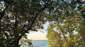 A natural landscape with a rocky path leading to a beach, surrounded by dense foliage.