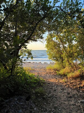 A natural landscape with a rocky path leading to a beach, surrounded by dense foliage.