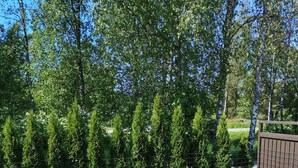 A garden with a pond, gravel ground, and various plants. - Modern Cosy Townhouse in Laitila • Sauna, Terrace & Open-Plan Living (Laitila)