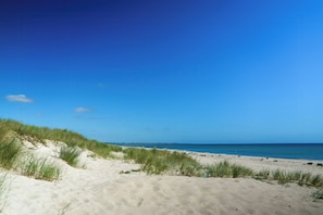 Ein Strand mit Dünen und blauem Himmel.