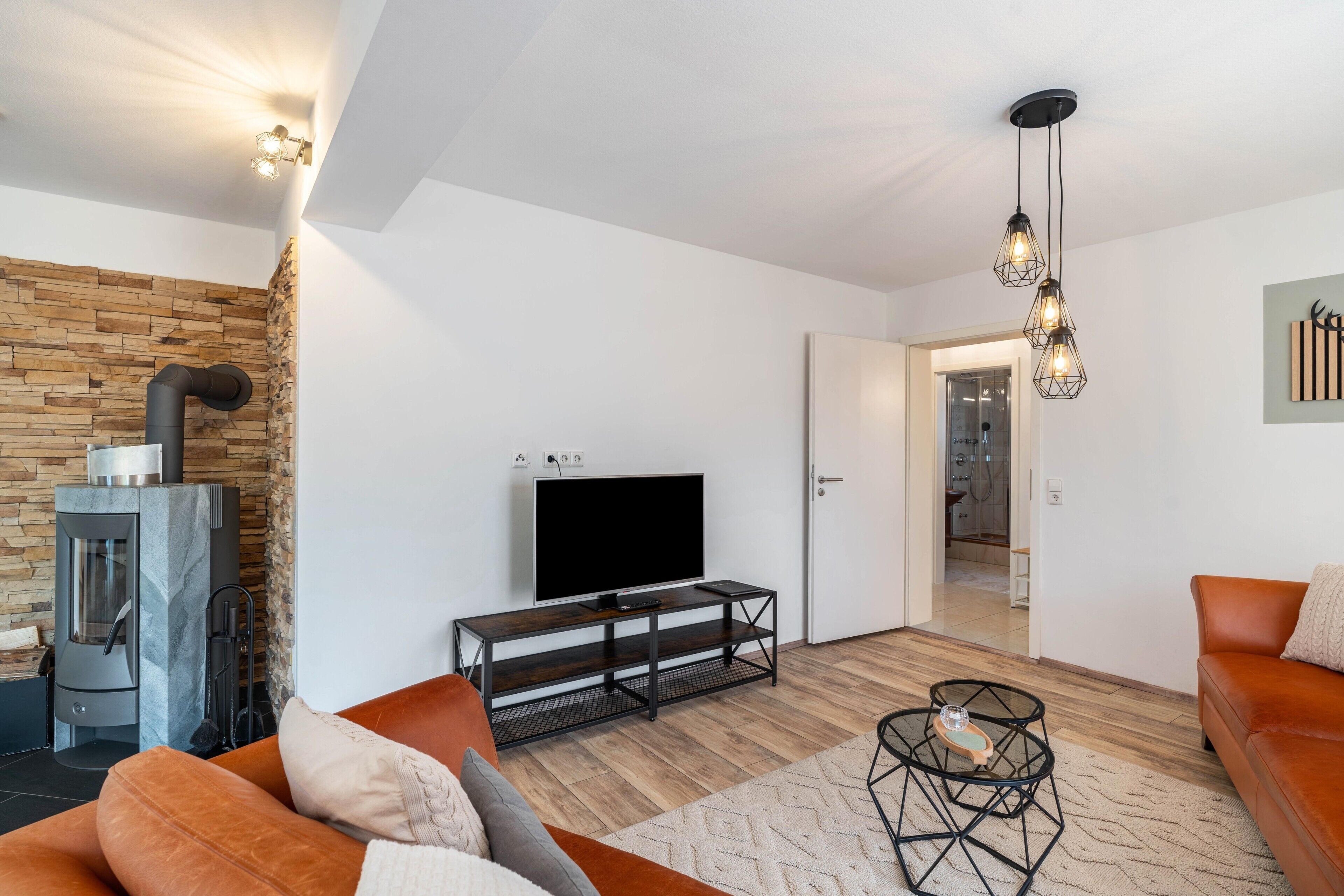 TV, fireplace