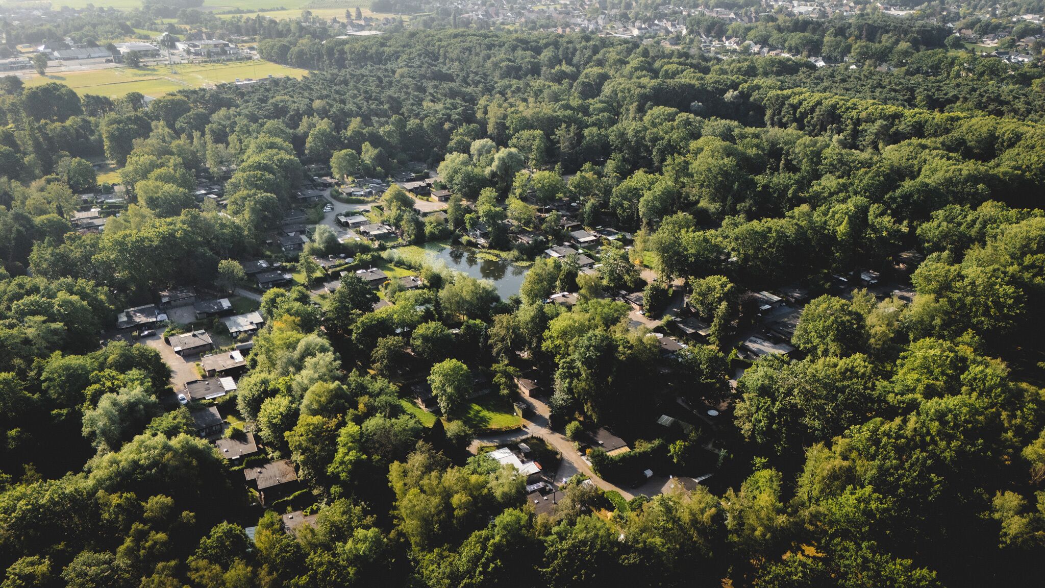 Vista aérea de una zona residencial con casas, una pequeña masa de agua y abundante vegetación.
