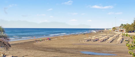 A beach with rows of sun loungers and umbrellas, a clear sky, and the ocean in the background.