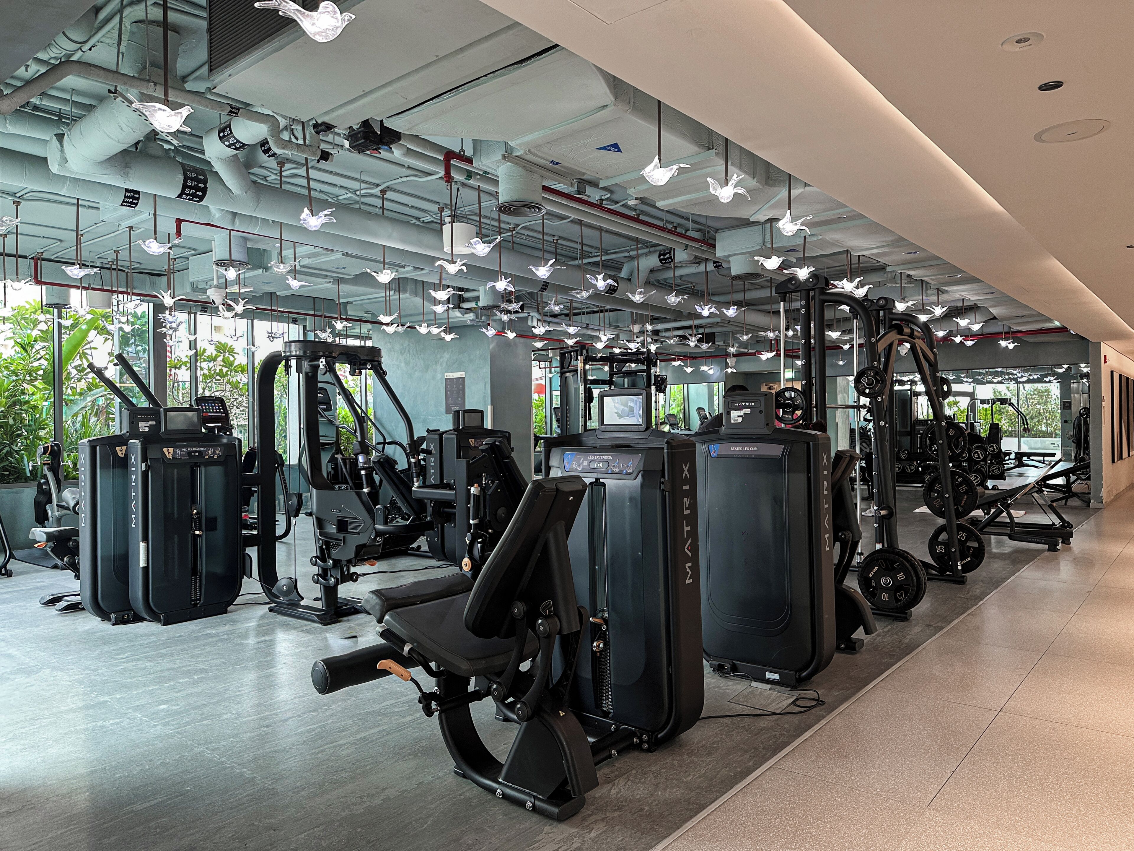 Ett modernt gym med olika träningsmaskiner, stora fönster och en stilren, industriell design.