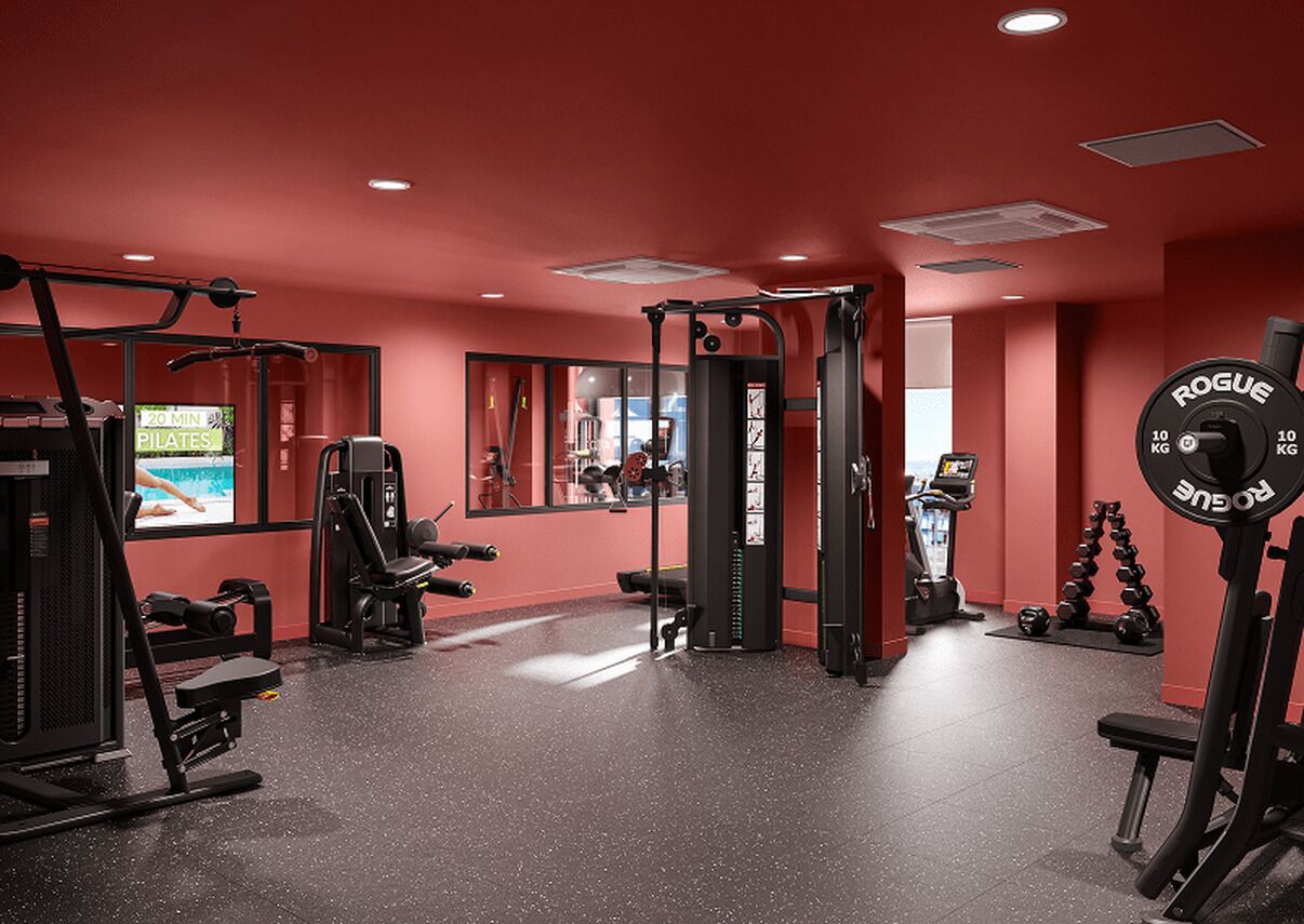 A gym with various exercise equipment, including a squat rack, weight bench, and dumbbells.