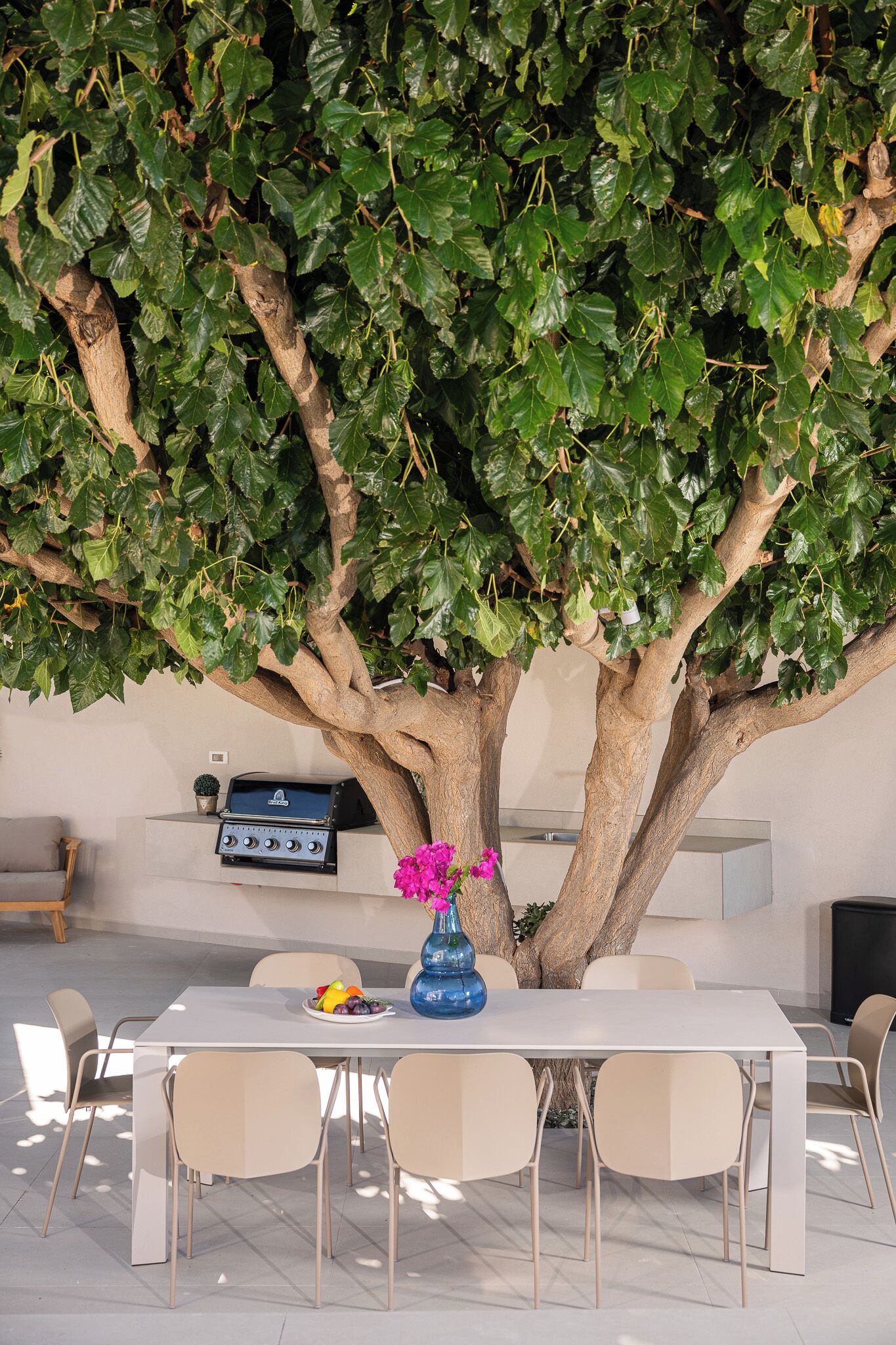 Un espacio de comedor al aire libre con una mesa bajo un árbol grande, rodeado de sillas.