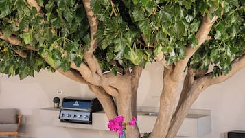 Un espacio de comedor al aire libre con una mesa bajo un árbol grande, rodeado de sillas.