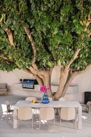 An outdoor dining area with a table under a large tree, surrounded by chairs.
