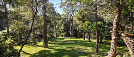 Un paisaje natural con diversos árboles y una zona cubierta de hierba.