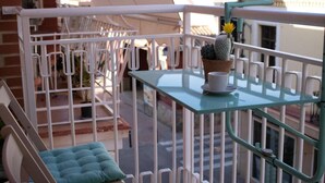 Un balcón con una mesa de vidrio, una planta de cactus en maceta y un cojín.