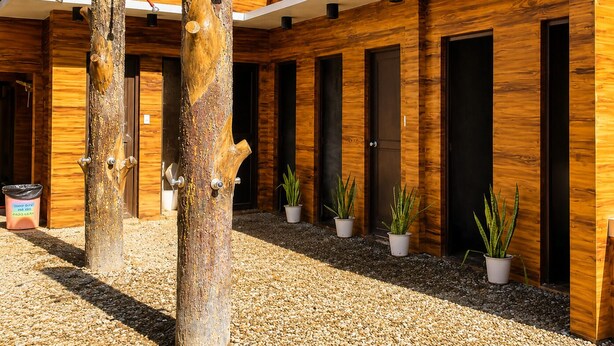 Un edificio moderno con paneles de madera, varias puertas y plantas en macetas.